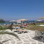 Dodeca Sea